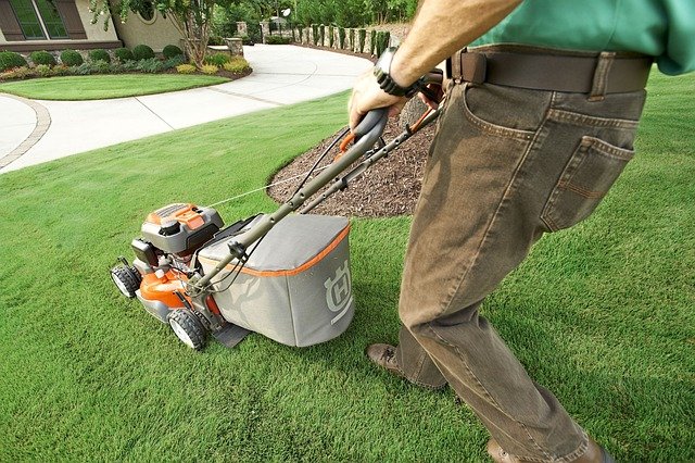 garden, garden shop, grass, nature, home garden, lawn, lawn mower, lawnmower, green home, green shopping, green grass, green garden, green shop