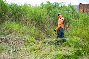A worker wearing protective gear trims tall grass in a lush field in Londrina, Brazil.